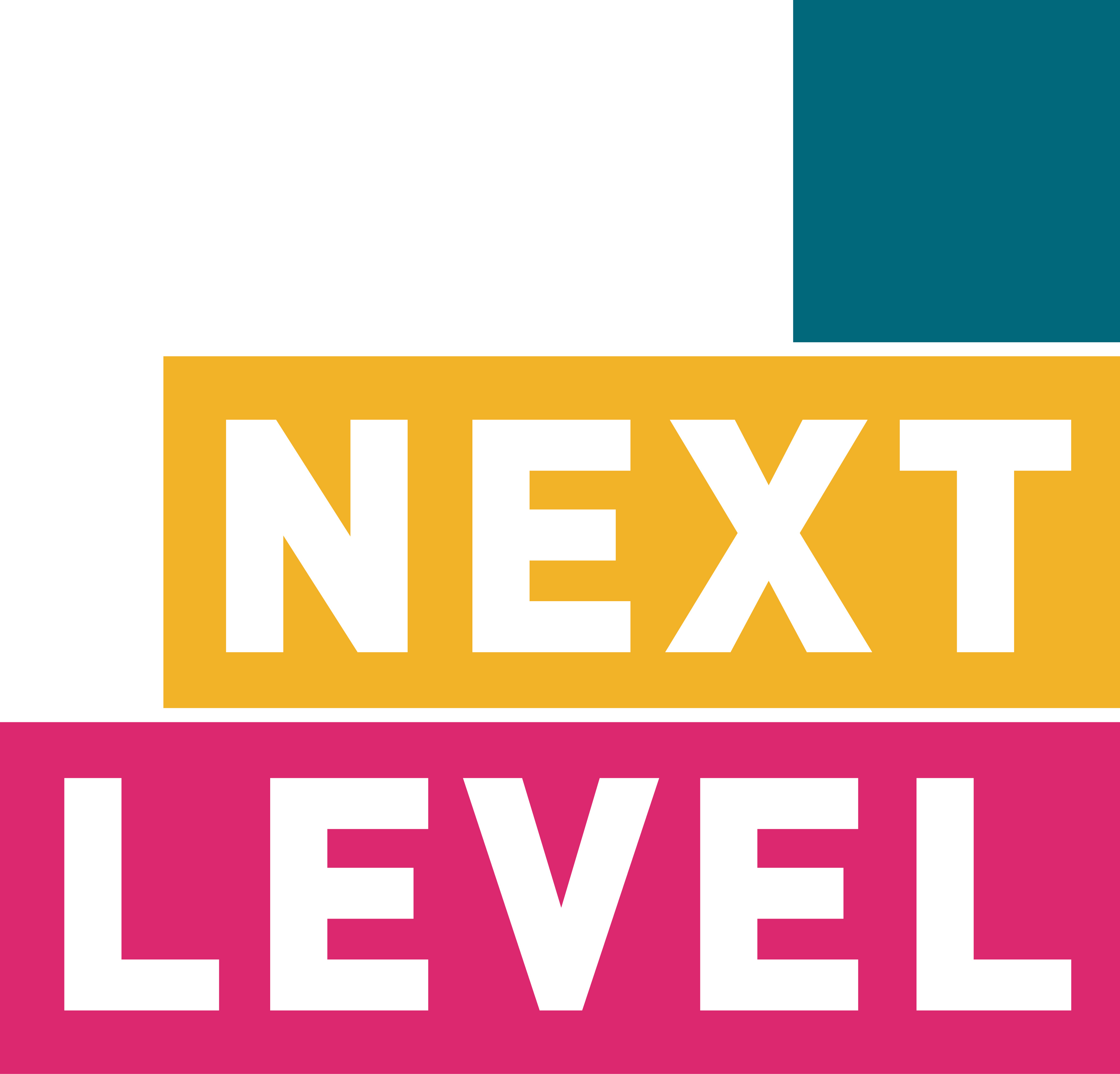 Colleges & Training Providers: Next Level