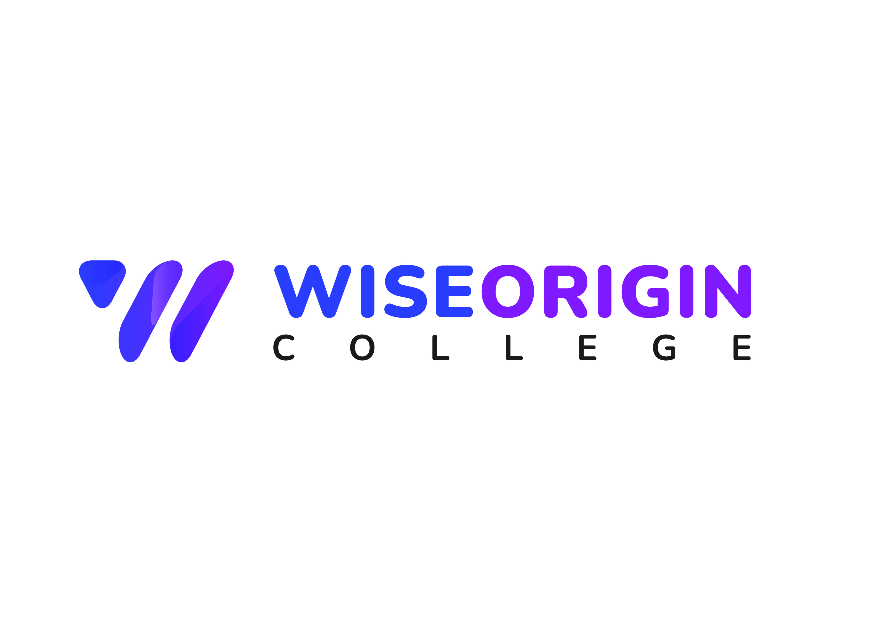 Colleges & Training Providers: Wise Origin College