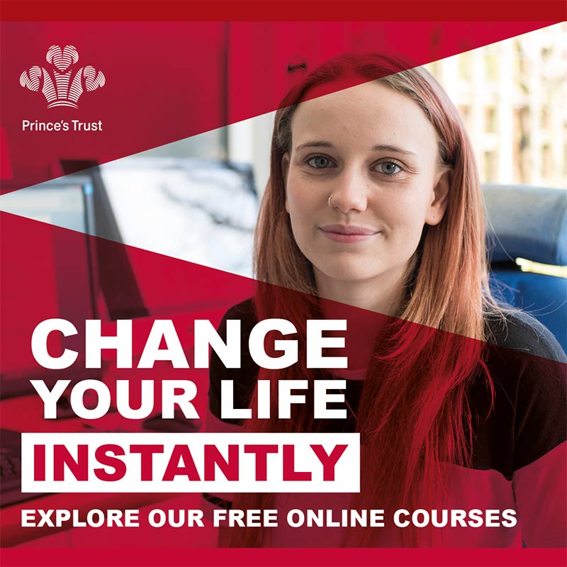 Princes Trust Online