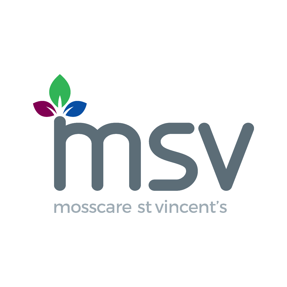 Mosscare St Vincent's Housing